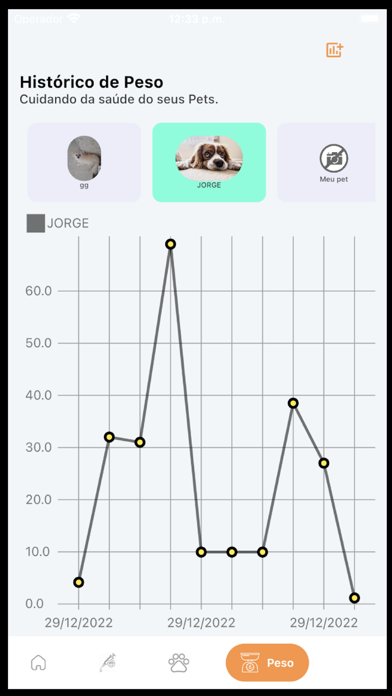 Meu Pet: histórico completo Screenshot