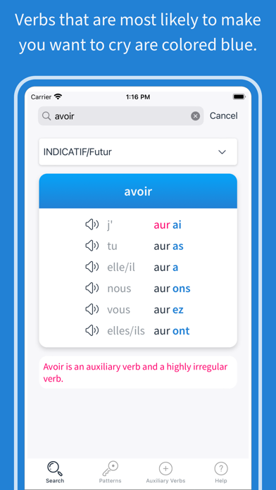 French Verbs 2020 Screenshot