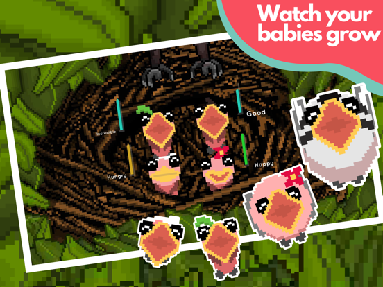 Hungry Birds iPad screenshot