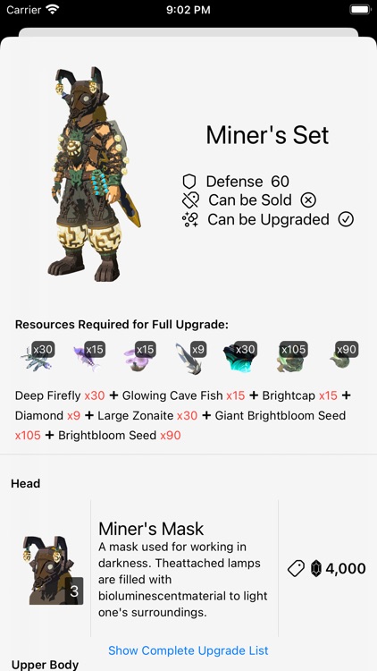 Tears of the Kingdom Companion