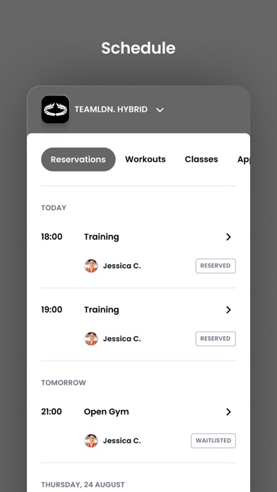TEAMLDN. HYBRID Screenshot