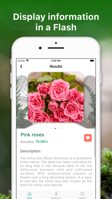 Leaf Identification Plant ID Screenshot
