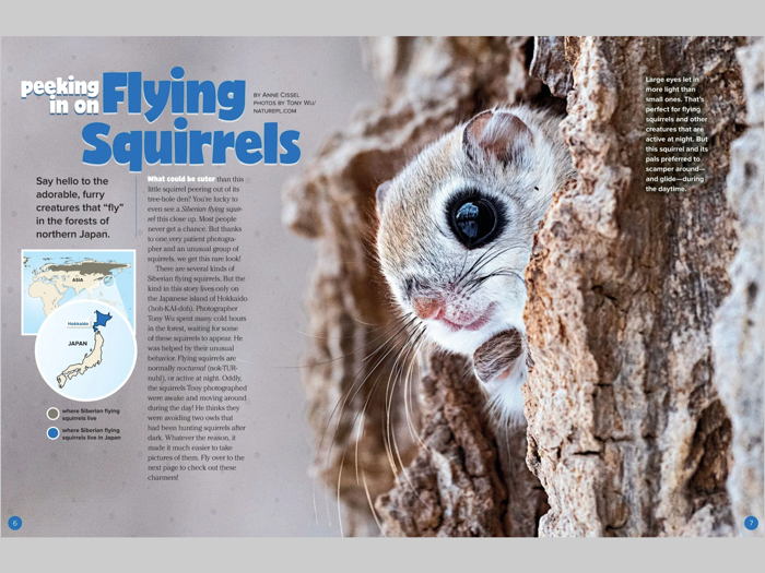 Ranger Rick Magazine