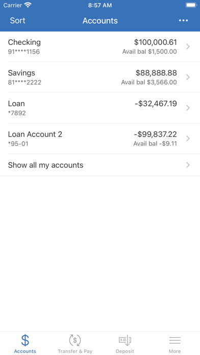 First Bank Blue Earth Screenshot