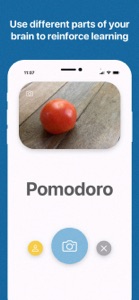 Italian Language for Beginners screenshot #5 for iPhone