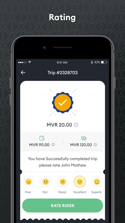 Nala Taxi Driver screenshot-6