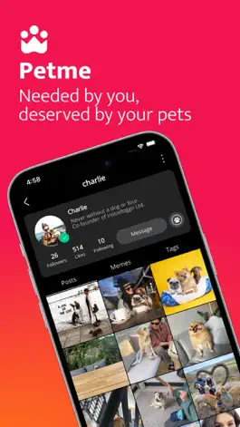 Game screenshot Petme. Together as a family. mod apk