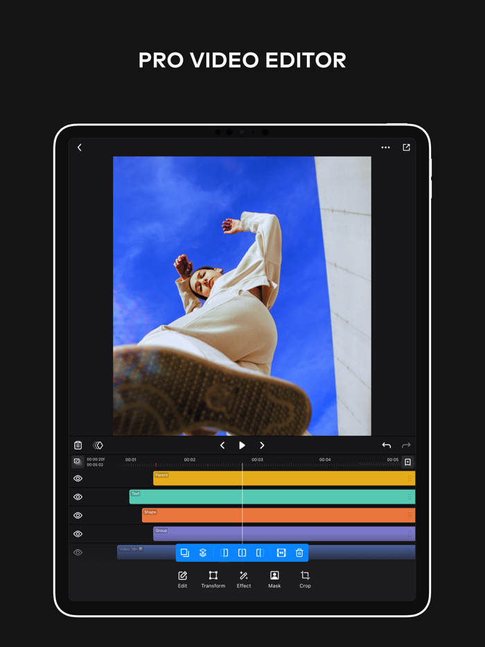 Ivy Professional Video Editor