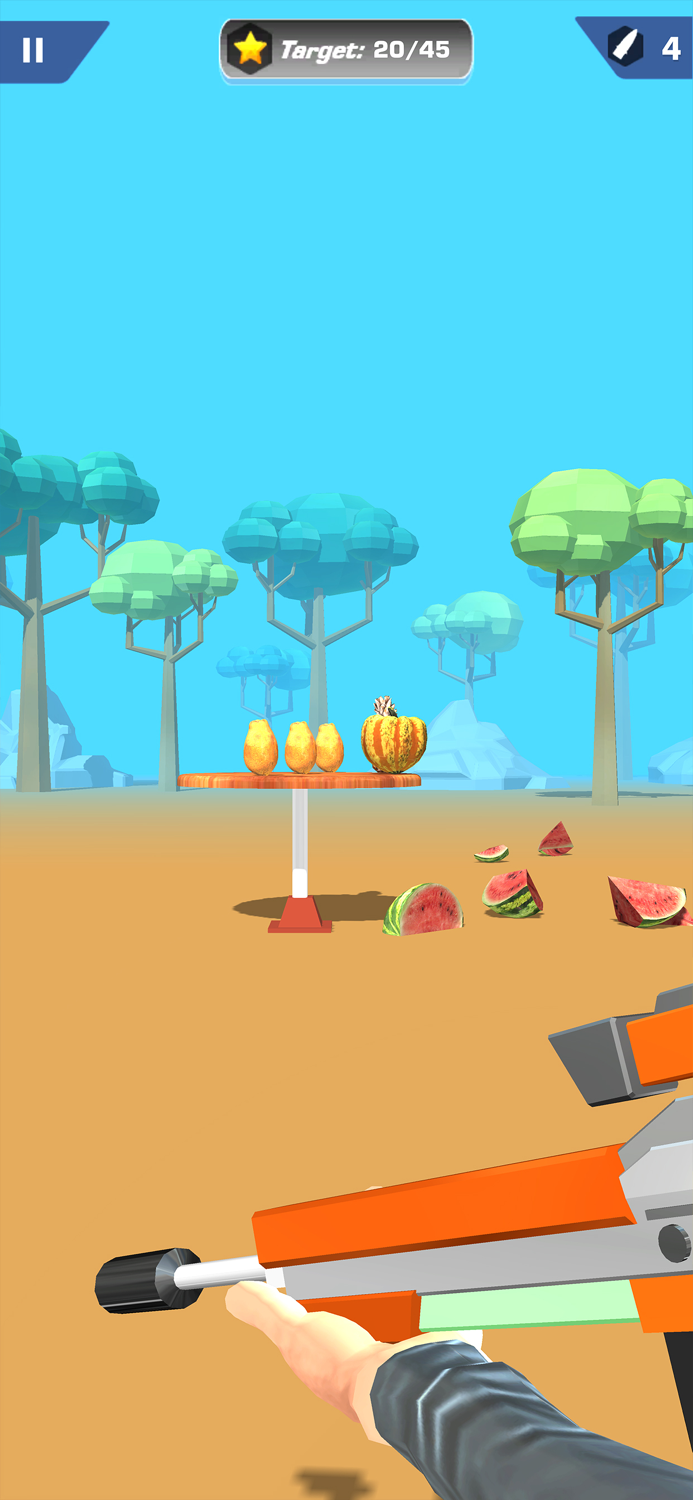 Shooting Master Challenge 3D