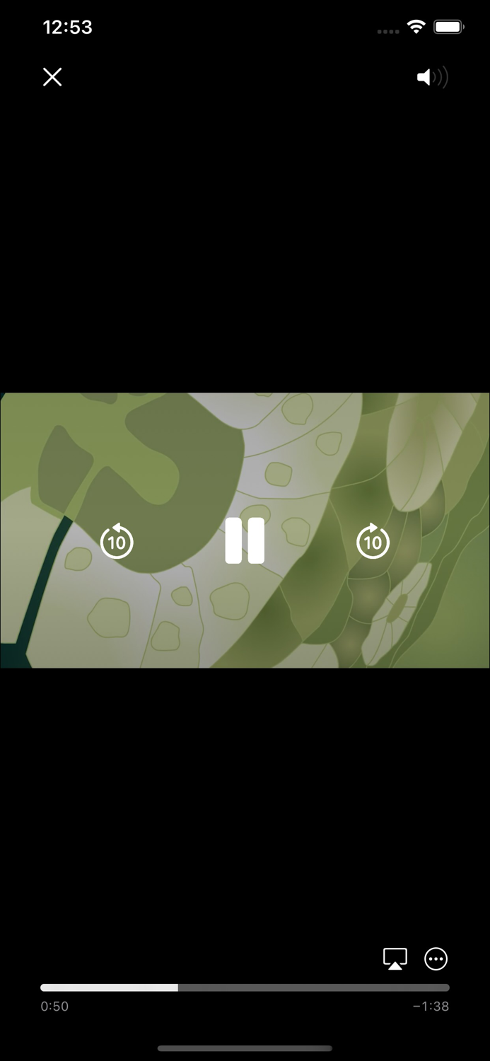 Fire Flyte  Fire Fly Explorer