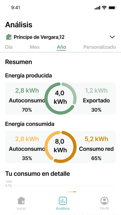 SmartEnergy for Thoughtworkers Screenshot