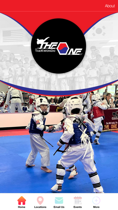 The ONE TaeKwonDo Screenshot