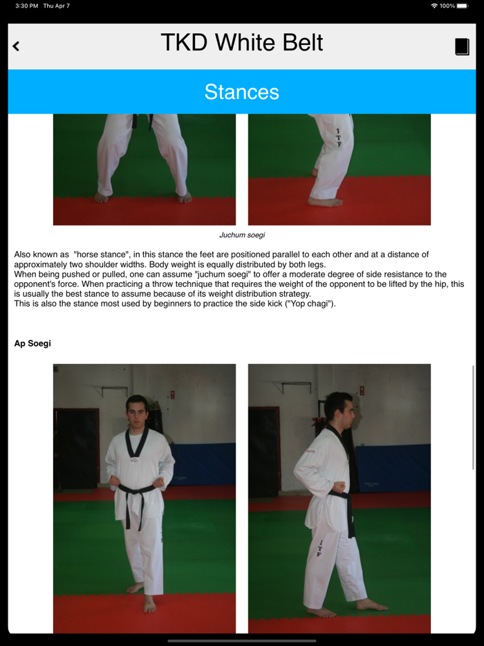 The Taekwondo White Belt