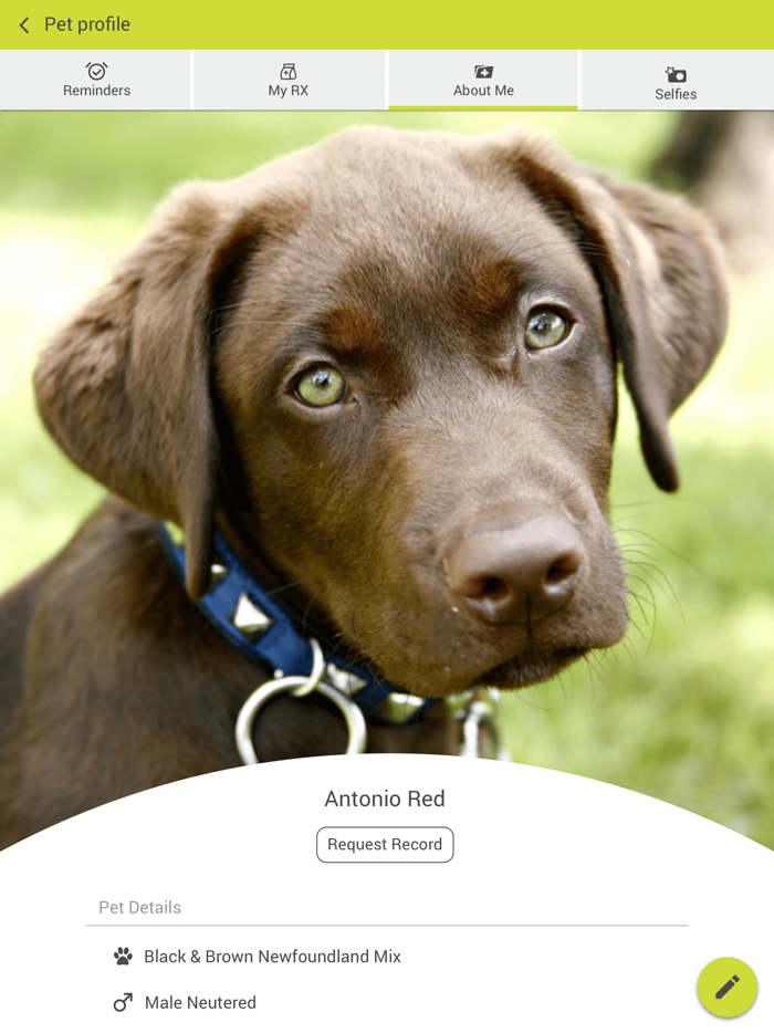 Milford Veterinary Clinic