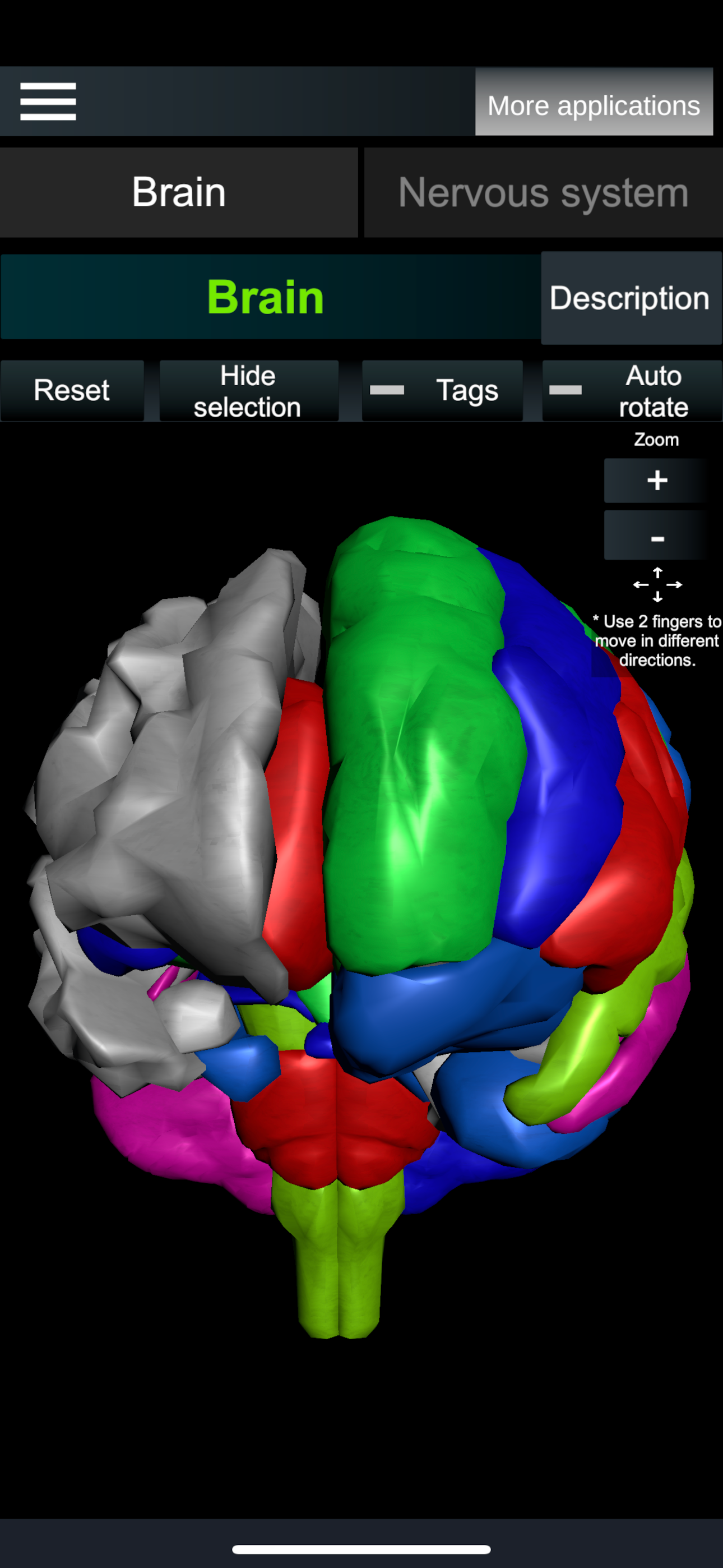 Brain and nerves (Anatomy)