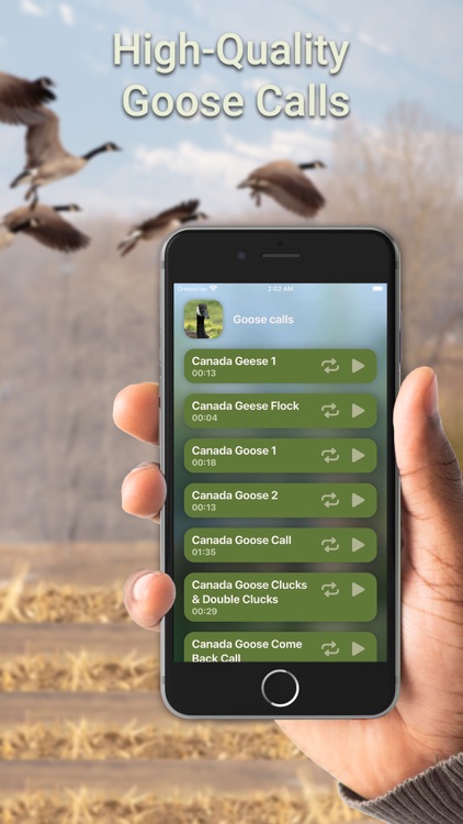 Hunting Calls: Goose