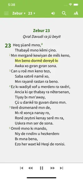 Game screenshot Gospel of Luke (Dersim-Zazaki) apk