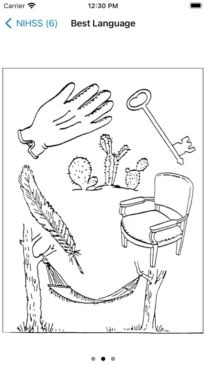 NIH Stroke Scale Calculator screenshot-3