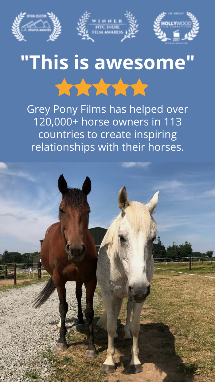 Polework Horse Riding Training