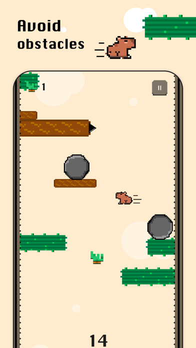 Flying Capybara Screenshot