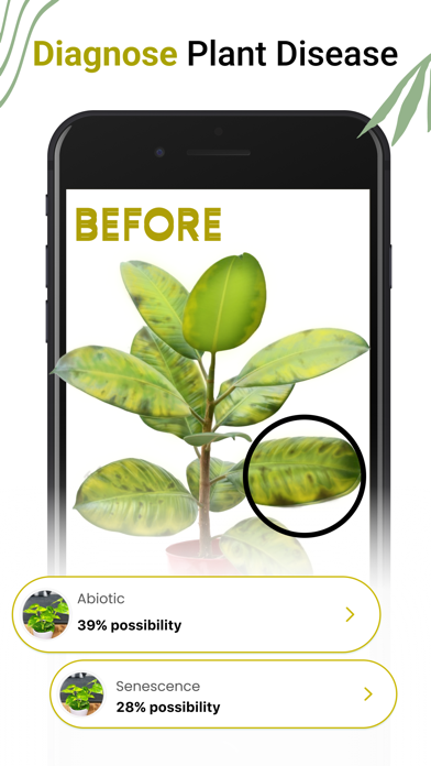 Plant Disease Diagnosis App Screenshot