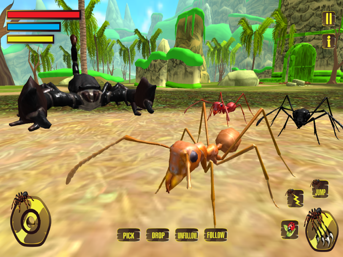 Wild Spider Tarantula Hunter