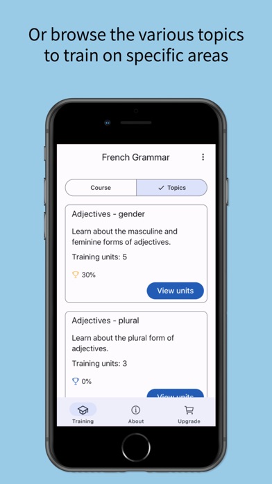 French Grammar Master Screenshot