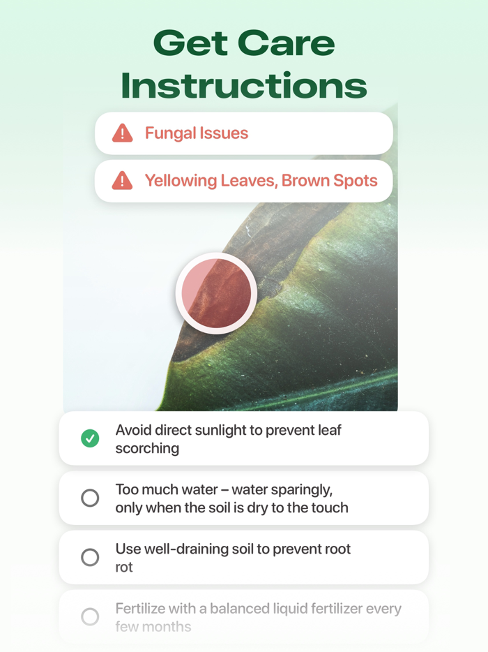 Plant Identifier Care  Tips