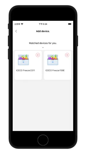 ICECO screenshot 2