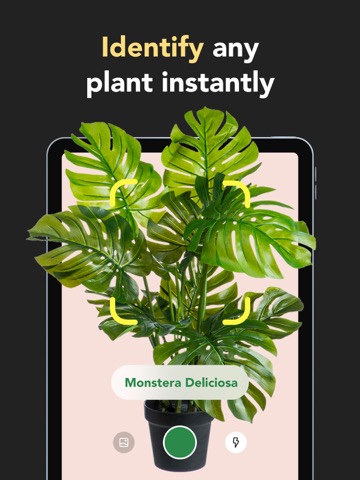 植物図鑑, 木の名前, 植物の名前, 画像で検索のおすすめ画像2