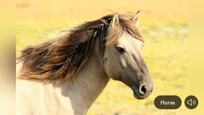 Animal Sounds & Image Screenshot