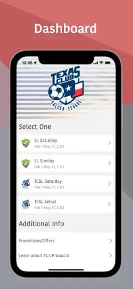 Game screenshot Texas Club Soccer League mod apk