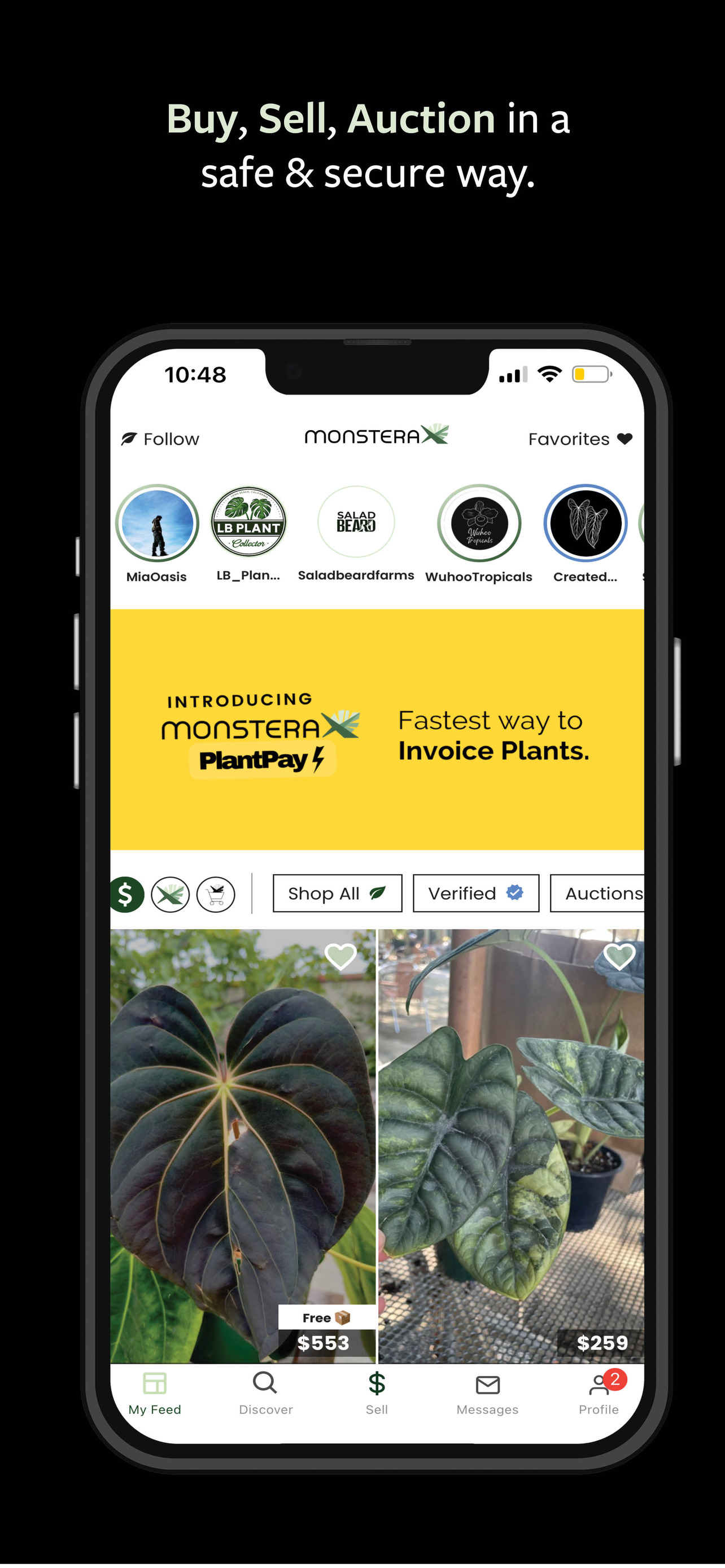 MonsteraX - World Plant Market