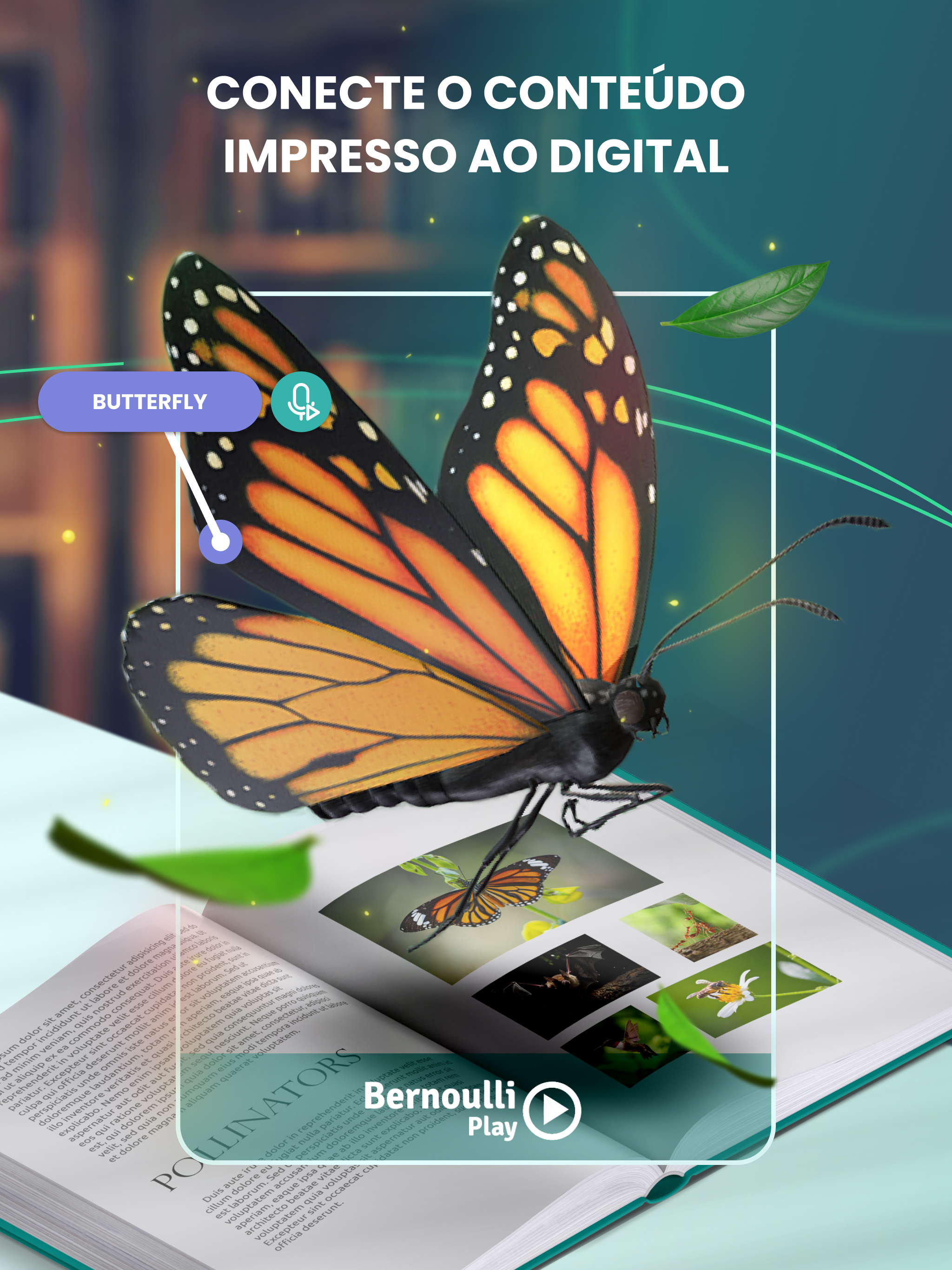 Bernoulli Play