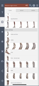 Primal's 3D Leg, Ankle & Foot screenshot #2 for iPhone