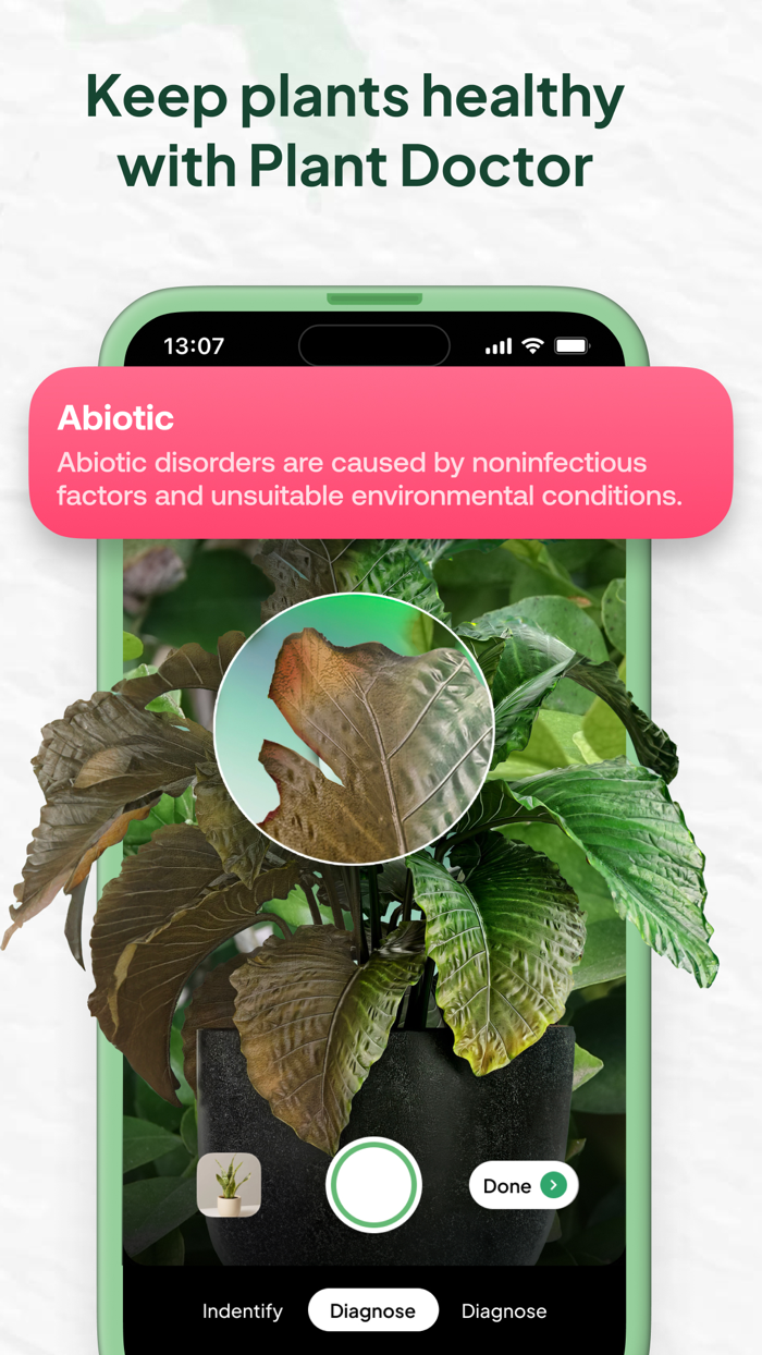 AI Plant Identifier - Leaf ID