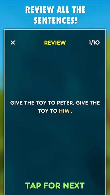 Pronouns Grammar Test PRO screenshot-3