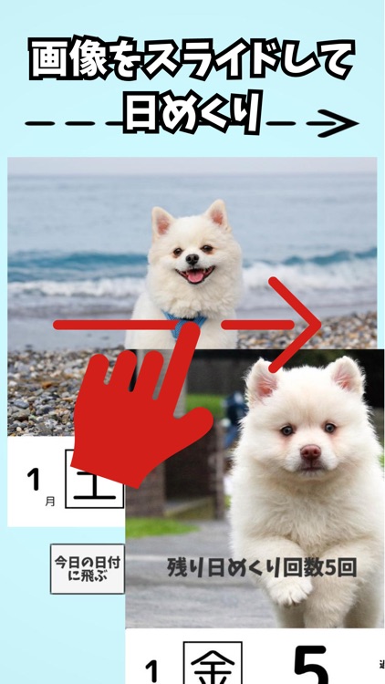 ひめくりカレンダー - かれんだー - カレンダー