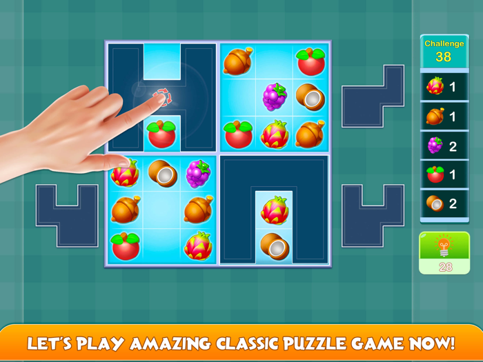 The Puzzle  Blossom Adventure