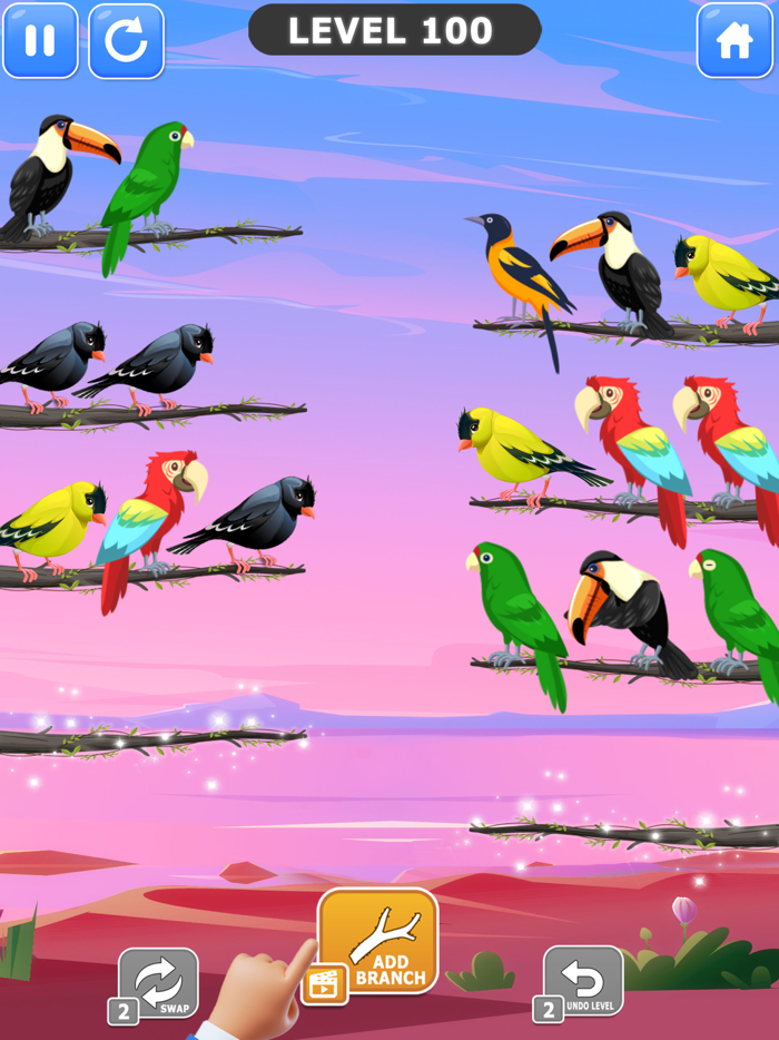 Bird Sort Color Puzzle Games