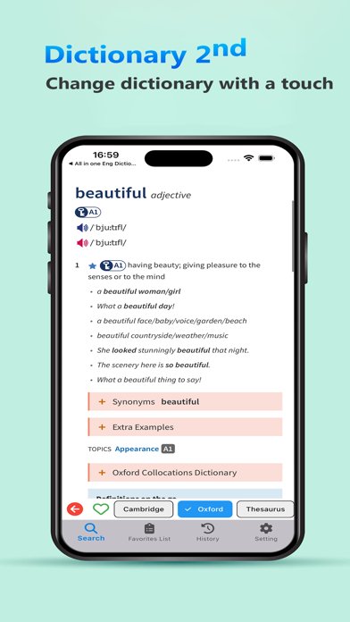 Cambrid English Dictionary Screenshot
