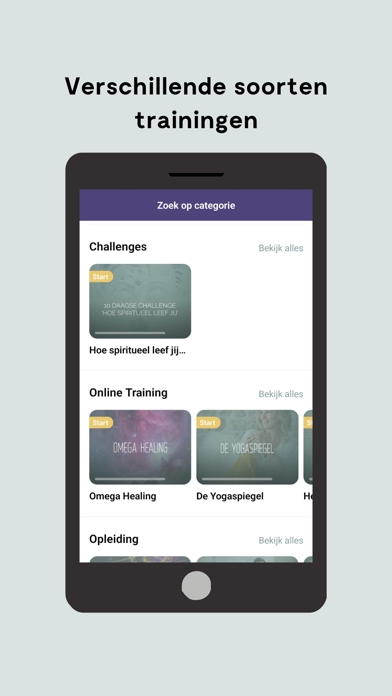 Bridgeman Academy Screenshot