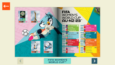 FIFA Panini Collection Screenshot