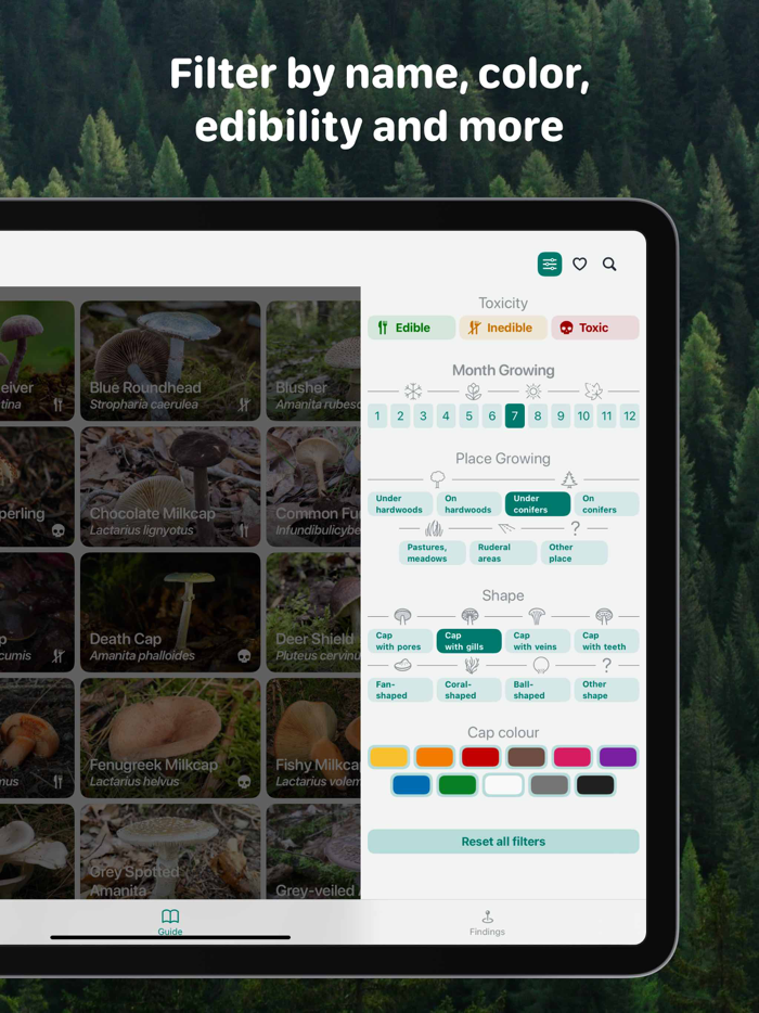 Rostou - Mushroom Guide