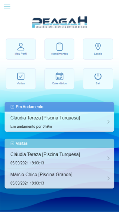 Peagah Screenshot