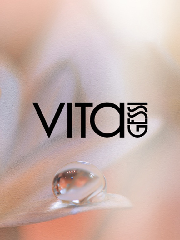 Screenshot #4 pour VITA GESSI