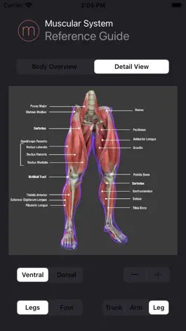 Game screenshot Anatomy Reference Guide hack