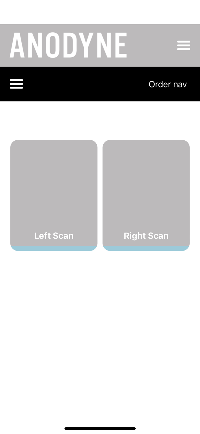 Anodyne Mobile Scanner