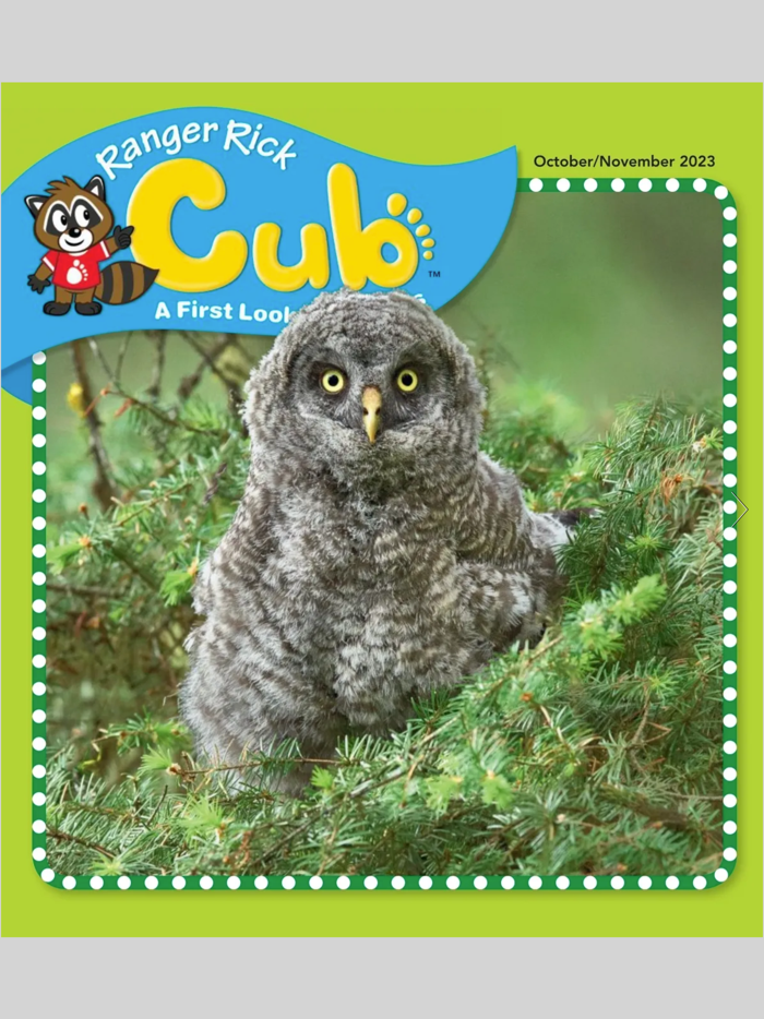 Ranger Rick Cub Magazine
