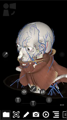 Game screenshot 3Dissect Head and Neck apk